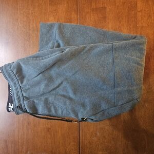 American Eagle Outfitters Blue Joggers
